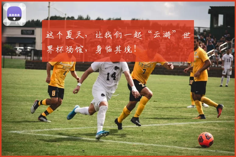 这个夏天，让我们一起“云游”世界杯场馆，身临其境！