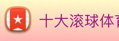 十大滚球体育app官网 logo